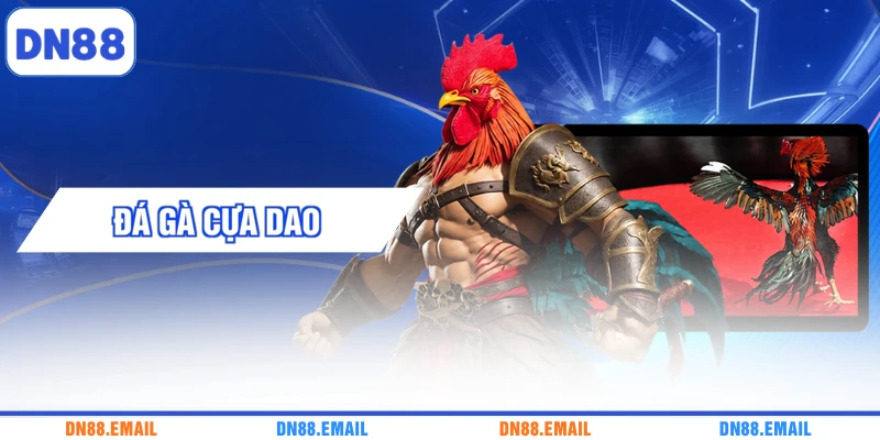 Đá Gà Cựa Dao - Khám Phá Đặc Trưng Của Màn Tranh Tài