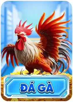 đá gà