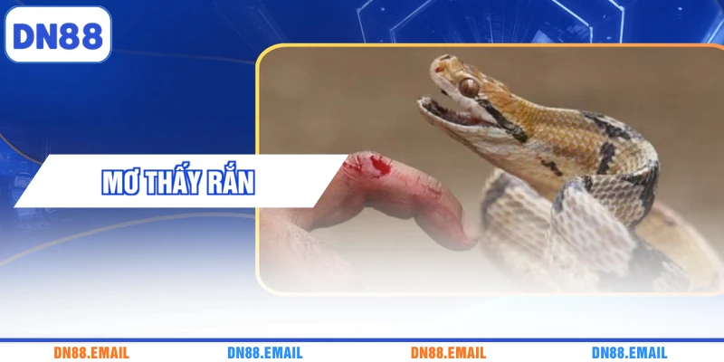 Mơ Thấy Rắn - Giải Mã Ý Nghĩa Những Con Số Liên Quan
