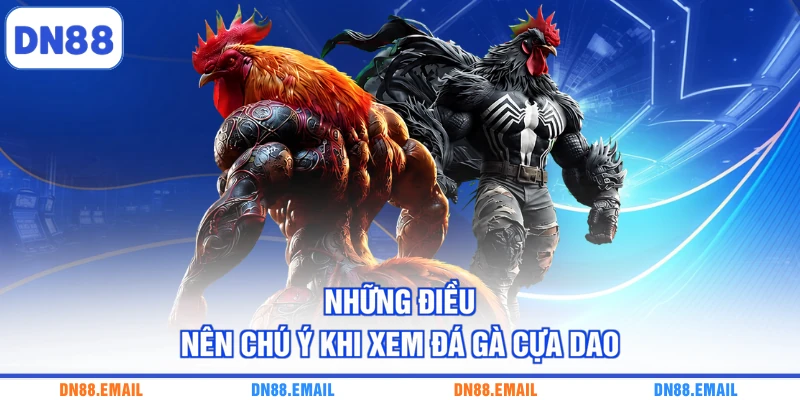 Những điều nên chú ý khi xem đá gà cựa dao