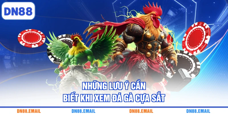 Những lưu ý cần biết khi xem đá gà cựa sắt