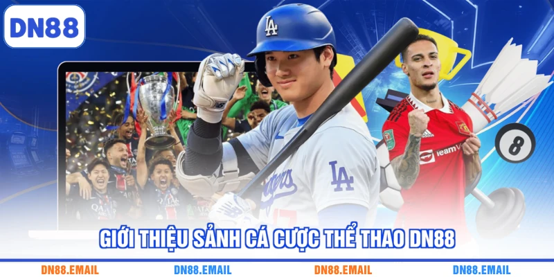 Giới thiệu sảnh cá cược thể thao DN88